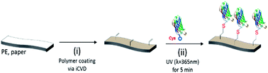 Graphical abstract: Site-specific immobilization of proteins on non-conventional substrates via solvent-free initiated chemical vapour deposition (iCVD) process