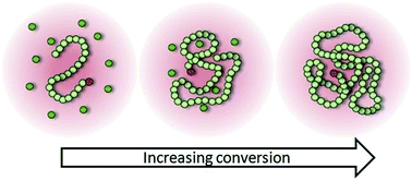 Graphical abstract: Is methanol really a bad solvent for poly(n-butyl methacrylate)? Low dispersity and high molecular weight polymers of n-butyl methacrylate synthesised via ATRP in anhydrous methanol