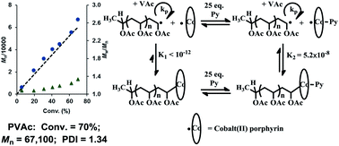 Graphical abstract: Vinyl acetate living radical polymerization mediated by cobalt porphyrins: kinetic–mechanistic studies