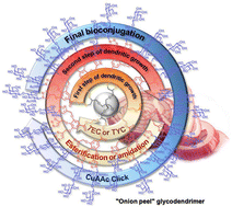 Graphical abstract: “Onion peel” dendrimers: a straightforward synthetic approach towards highly diversified architectures