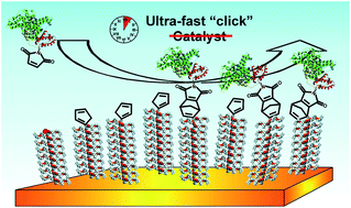 Graphical abstract: Exploiting end group functionalization for the design of antifouling bioactive brushes