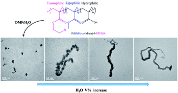 Graphical abstract: Synthesis and self-assembly of a novel fluorinated triphilic block copolymer