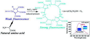 Graphical abstract: Synthesis and characterization of fluorescent oligo(3,4,5-triethoxycarbonyl-2-pyrazoline)