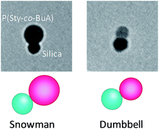 Graphical abstract: Synthesis of nanoscaled poly(styrene-co-n-butyl acrylate)/silica particles with dumbbell- and snowman-like morphologies by emulsion polymerization