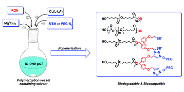 Graphical abstract: Immortal ring-opening polymerization of ε-caprolactone by a neat magnesium catalyst system: an approach to obtain block and amphiphilic star polymers in situ