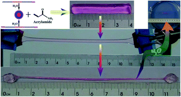 Graphical abstract: Reactive macromolecular micelle crosslinked highly elastic hydrogel with water-triggered shape-memory behaviour