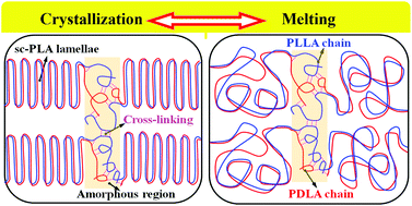 Graphical abstract: Enhancing the melt stability of polylactide stereocomplexes using a solid-state cross-linking strategy during a melt-blending process