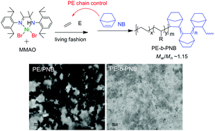 Graphical abstract: Catalytic synthesis of polyethylene-block-polynorbornene copolymers using a living polymerization nickel catalyst