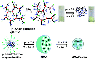 Graphical abstract: Facile RAFT synthesis of side-chain amino acids containing pH-responsive hyperbranched and star architectures