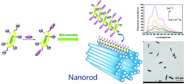 Graphical abstract: Hyperbranched polyester nanorods with pyrrolo[2,1-a]isoquinoline end groups for fluorescent recognition of Fe3+