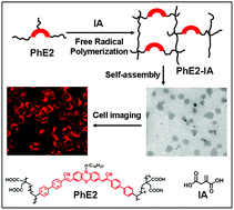Graphical abstract: Renewable itaconic acid based cross-linked fluorescent polymeric nanoparticles for cell imaging