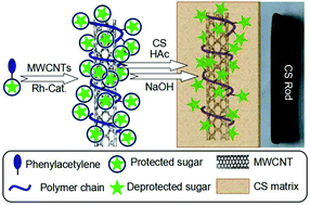 Graphical abstract: Monosaccharide-functionalized poly(phenylacetylenes): in situ polymerization, hybridization with MWCNTs, and application in the reinforcement of chitosan rods