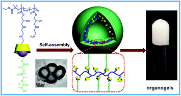 Graphical abstract: Construction of reverse vesicles from pseudo-graft poly(glycerol methacrylate)s via cyclodextrin–cholesterol interactions