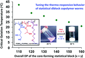 Graphical abstract: Tuning the critical gelation temperature of thermo-responsive diblock copolymer worm gels