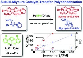 Graphical abstract: Suzuki–Miyaura catalyst-transfer polycondensation with Pd(IPr)(OAc)2 as the catalyst for the controlled synthesis of polyfluorenes and polythiophenes