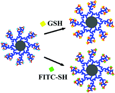 Graphical abstract: Reactive polymeric micelles with disulfide groups in the coronae