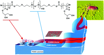 Graphical abstract: Surface modification of silicone via colloidal deposition of amphiphilic block copolymers