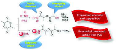 Graphical abstract: Direct ring-opening of lactide with amines: application to the organo-catalyzed preparation of amide end-capped PLA and to the removal of residual lactide from PLA samples