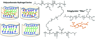 Graphical abstract: Semibranched polyglycidols as “fillers” in polycarbonate hydrogels to tune hydrophobic drug release