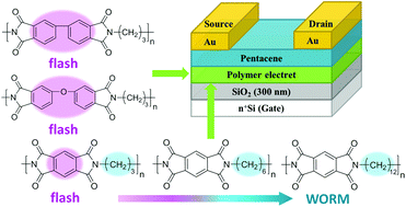 Graphical abstract: Semi-conjugated acceptor-based polyimides as electrets for nonvolatile transistor memory devices