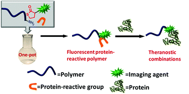 Graphical abstract: Fluorescent PEGylation agent by a thiolactone-based one-pot reaction: a new strategy for theranostic combinations