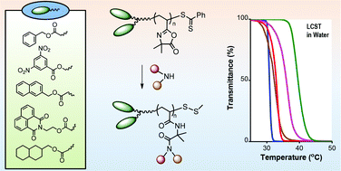 Graphical abstract: RAFT-prepared α-difunctional poly(2-vinyl-4,4-dimethylazlactone)s and their derivatives: synthesis and effect of end-groups on aqueous inverse temperature solubility