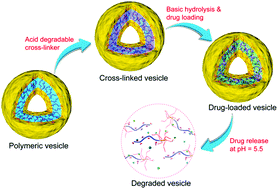 Graphical abstract: Degradable cross-linked polymer vesicles for the efficient delivery of platinum drugs