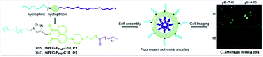 Graphical abstract: Novel biocompatible fluorescent polymeric micelles based on 1,8-naphthalimide derivatives for cell imaging