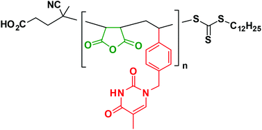 Graphical abstract: Preparation of 1 : 1 alternating, nucleobase-containing copolymers for use in sequence-controlled polymerization