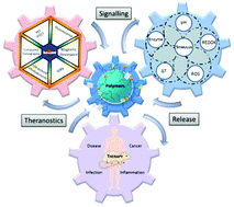 Graphical abstract: Utilising polymers to understand diseases: advanced molecular imaging agents