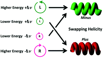 Graphical abstract: Photon magic: chiroptical polarisation, depolarisation, inversion, retention and switching of non-photochromic light-emitting polymers in optofluidic medium