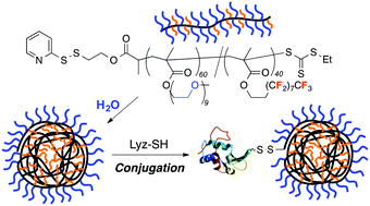 Graphical abstract: Amphiphilic/fluorous random copolymers as a new class of non-cytotoxic polymeric materials for protein conjugation