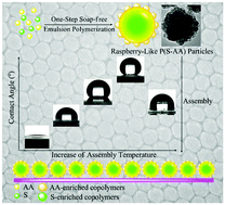 Graphical abstract: Tunable wettability of hierarchical structured coatings derived from one-step synthesized raspberry-like poly(styrene-acrylic acid) particles