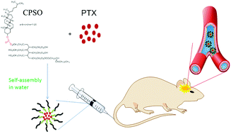 Graphical abstract: Paclitaxel-loaded cholesterol-conjugated polyoxyethylene sorbitol oleate polymeric micelles for glioblastoma therapy across the blood–brain barrier