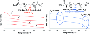 Graphical abstract: Tuning thermal properties and microphase separation in aliphatic polyester ABA copolymers