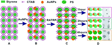 Graphical abstract: One-step synthesis of Janus hybrid nanoparticles using reverse atom transfer radical polymerization in emulsion