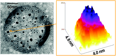 Graphical abstract: Nanoscale detection of metal-labeled copolymers in patchy polymersomes