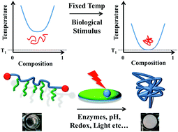 Graphical abstract: Towards being genuinely smart: ‘isothermally-responsive’ polymers as versatile, programmable scaffolds for biologically-adaptable materials