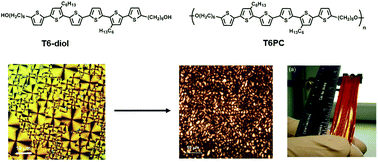 Graphical abstract: Electrochromic and liquid crystalline polycarbonates based on telechelic oligothiophenes