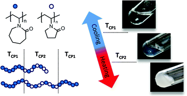 Graphical abstract: Double thermo-responsive hydrogels from poly(vinylcaprolactam) containing diblock and triblock copolymers