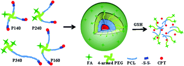 Graphical abstract: Tuning multiple arms for camptothecin and folate conjugations on star-shaped copolymers to enhance glutathione-mediated intracellular drug delivery