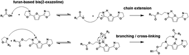 Graphical abstract: Synthesis, kinetics, and characterization of bio-based thermosets obtained through polymerization of a 2,5-furandicarboxylic acid-based bis(2-oxazoline) with sebacic acid