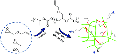 Graphical abstract: Terpolymerization of propylene oxide and vinyl oxides with CO2: copolymer cross-linking and surface modification via thiol–ene click chemistry