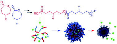 Graphical abstract: Recent developments in micellar drug carriers featuring substituted poly(ε-caprolactone)s