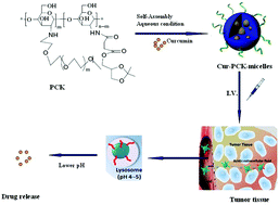 Graphical abstract: In vitro and in vivo evaluation of PEG-conjugated ketal-based chitosan micelles as pH-sensitive carriers