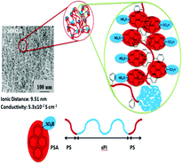 Graphical abstract: The intensively enhanced conductivity of polyelectrolytes by amphiphilic compound doping