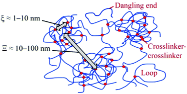 Graphical abstract: Nanostructural heterogeneity in polymer networks and gels
