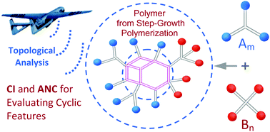 Graphical abstract: Topological analysis and intramolecular cyclic feature evaluation of polymers derived from Am + Bn step-growth polymerization