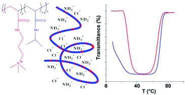 Graphical abstract: Upper or lower critical solution temperature, or both? Studies on cationic copolymers of N-isopropylacrylamide