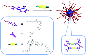 Graphical abstract: Synthesis of drug-crosslinked polymer nanoparticles